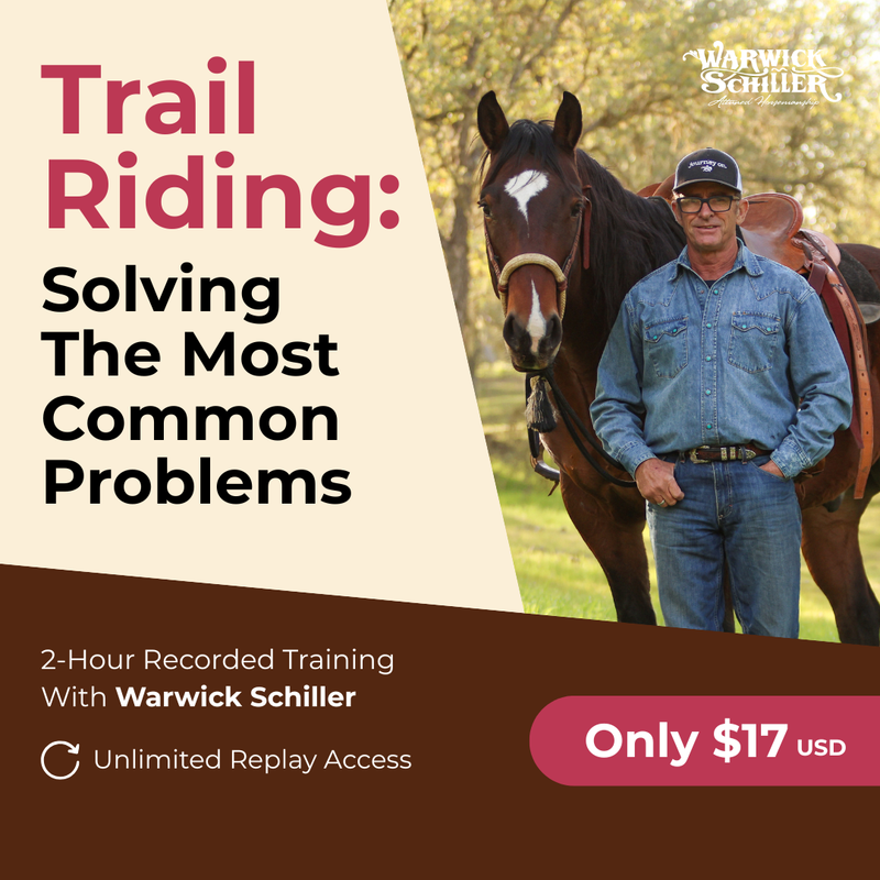 Trail Riding: Solving The Most Common Problems Webinar RECORDING