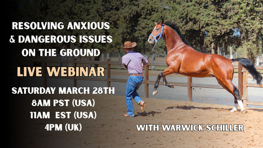 Live Webinar: Resolving Anxious & Dangerous Issues on the Ground 8AM