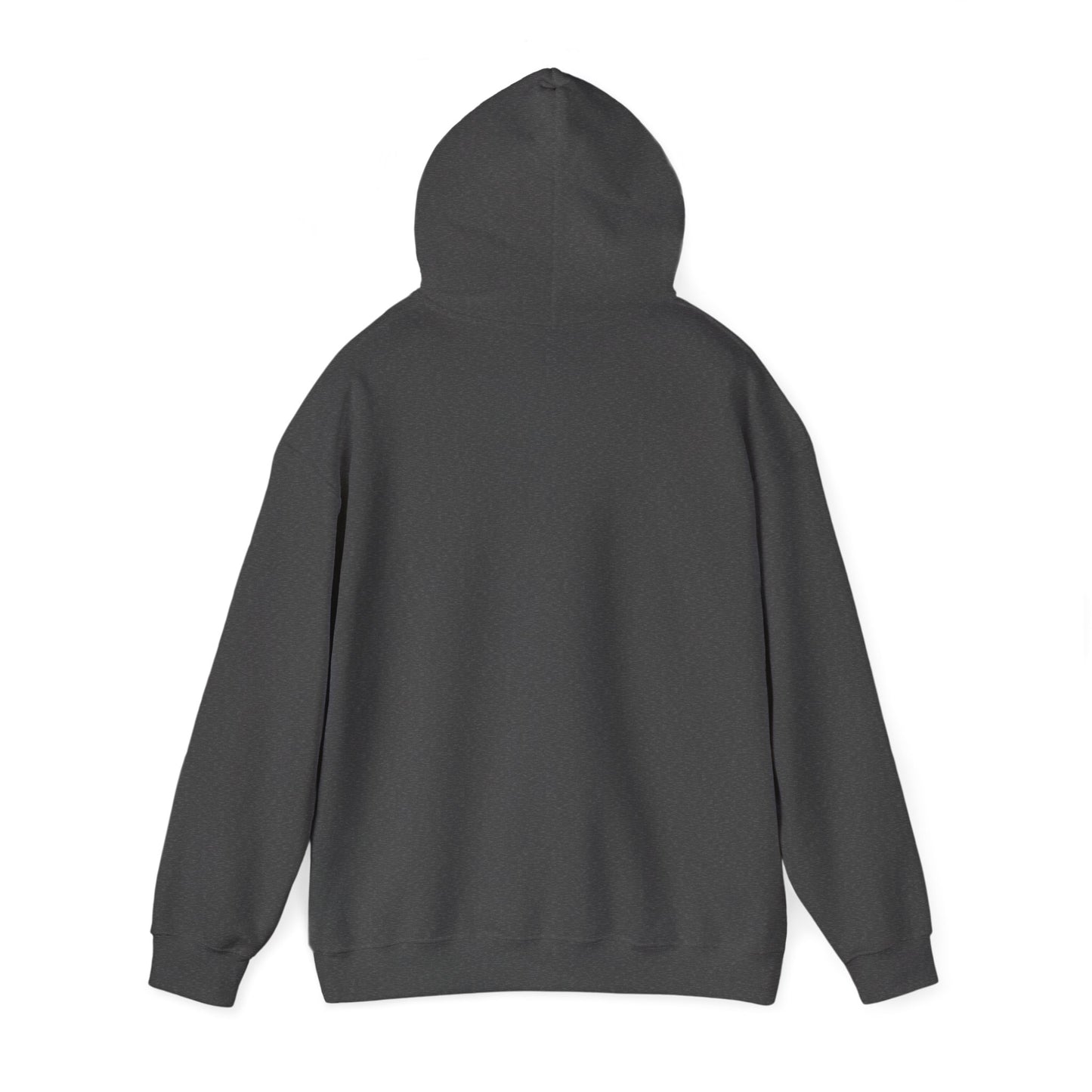 Treat Dealer Hoodie — Funny Dog Lover Hoodie with Horseshoe Graphic