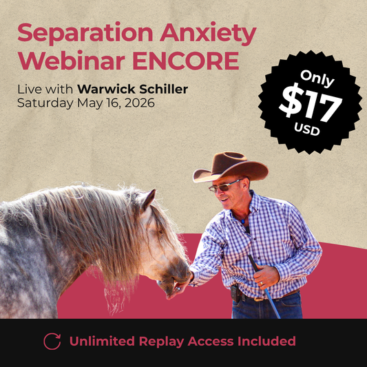 Live Webinar: Transforming Separation Anxiety  (Encore) - 5PM PDT
