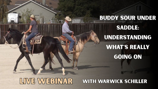 Buddy Sour Under Saddle: Understanding What's Really Going On 5PM