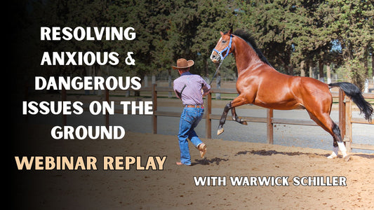 Resolving Anxious & Dangerous Issues on the Ground Webinar RECORDING