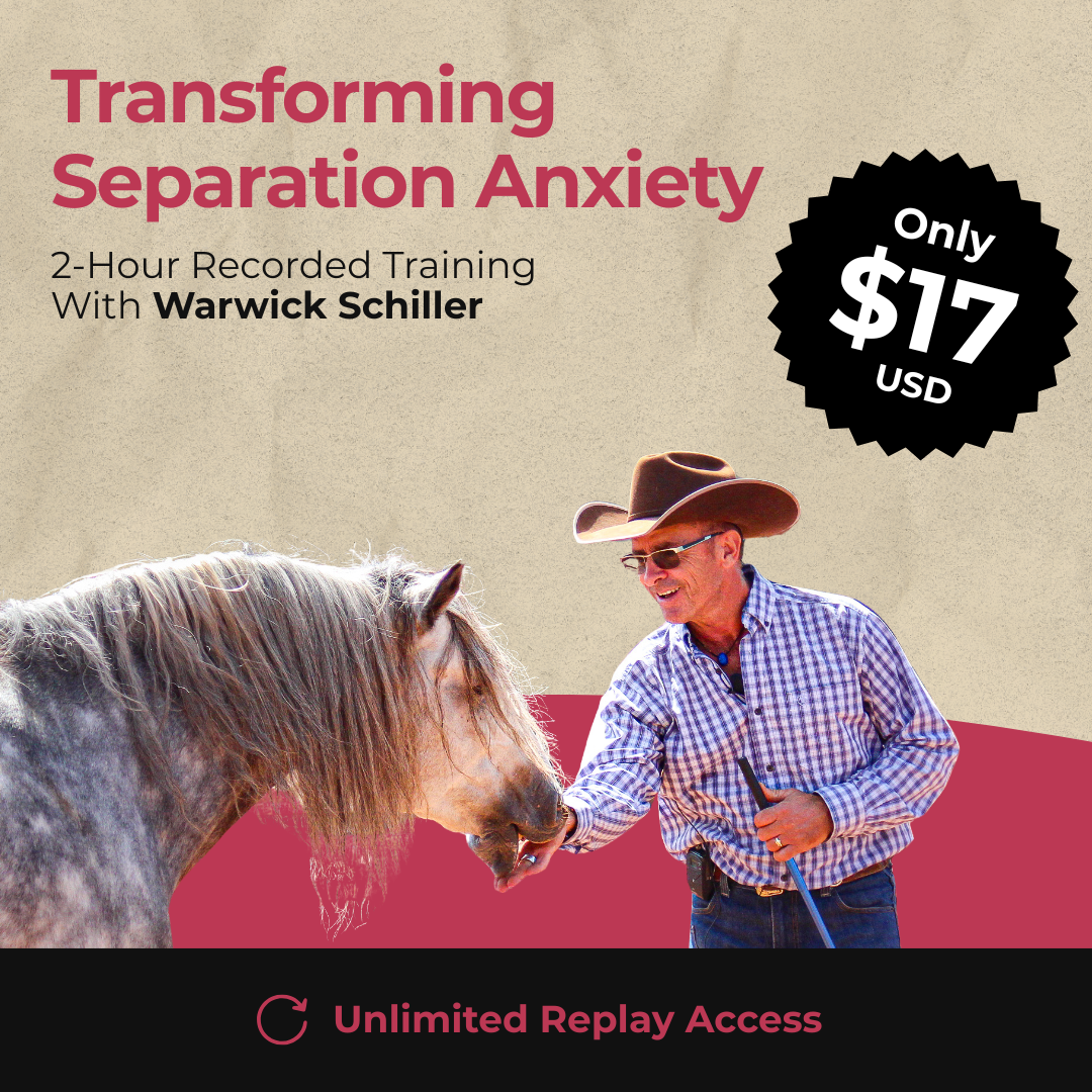Transforming Separation Anxiety: 2-Hour Recorded Training